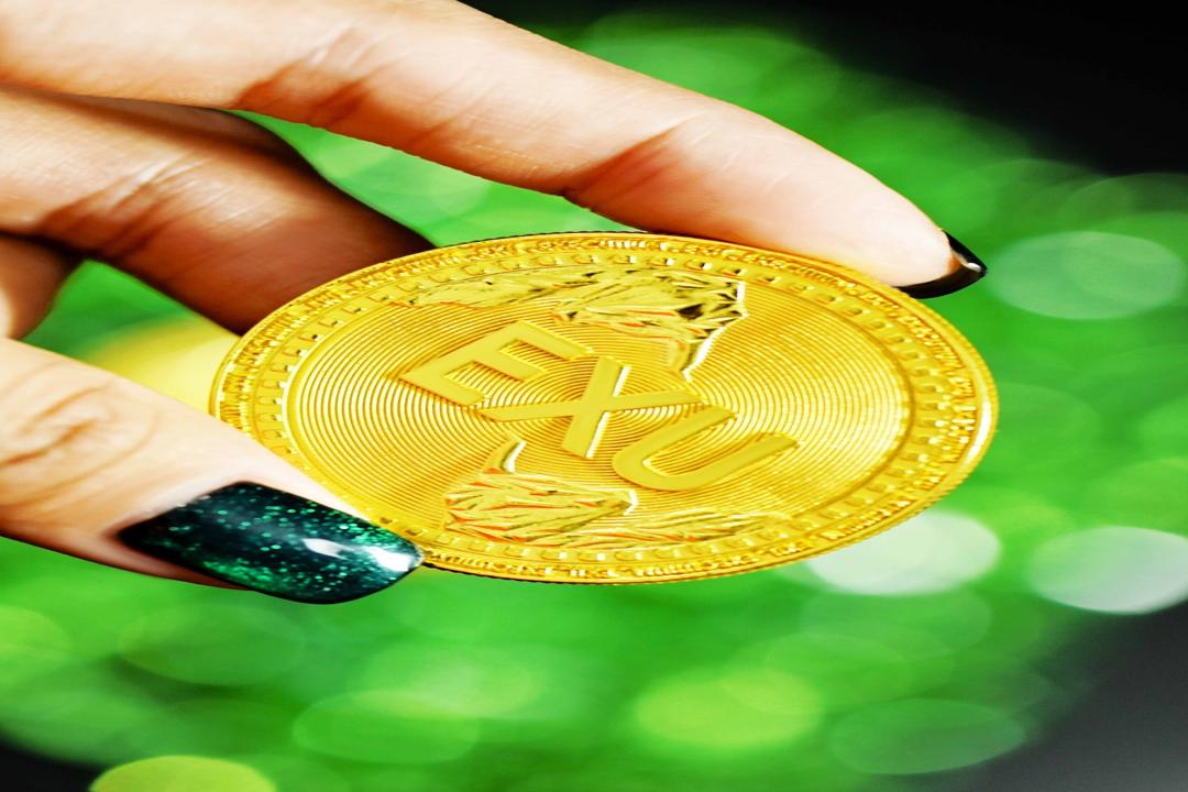 Monero Approaches Support Level as Oversold Conditions Indicate Potential for a Relief Rally